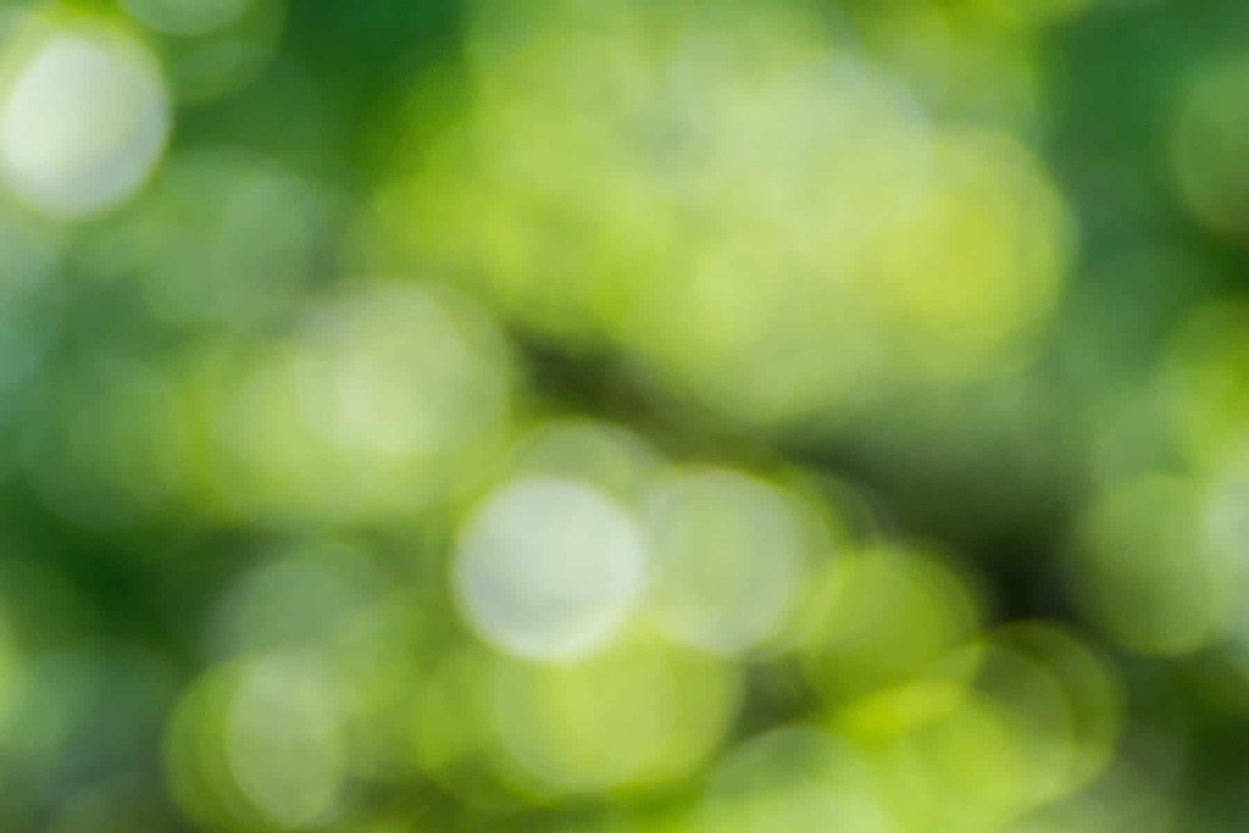 Bokeh